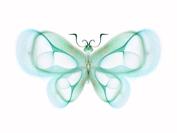 Butterfly Abstraction background — Stok fotoğraf