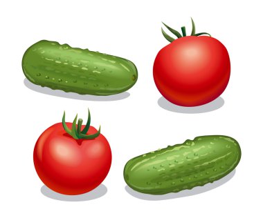 Domates ve salatalık.