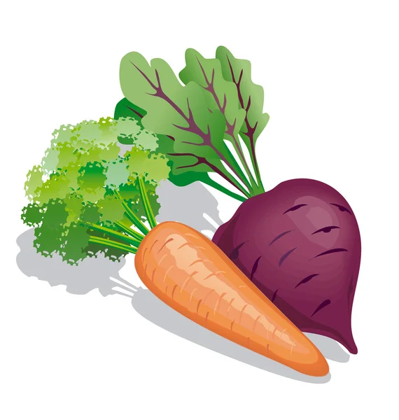 胡萝卜、 甜菜 — 图库照片