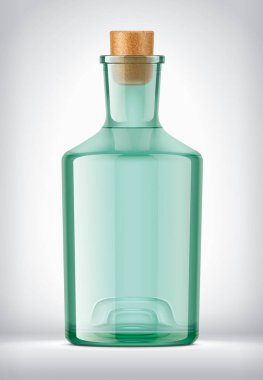 Şeffaf Renk Cam Şişe