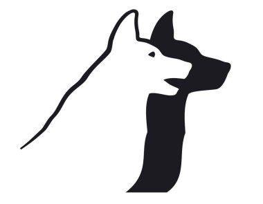 Aynı yöne bakan iki köpek.