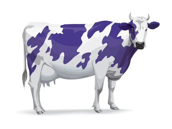 Cow in Milka style — Stock Photo, Image