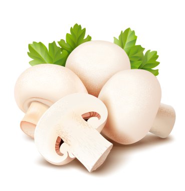 Mantar. Champignon
