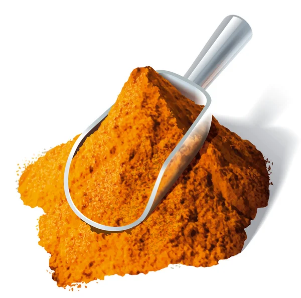 Scoop with spice. Curry. — Stock Photo, Image