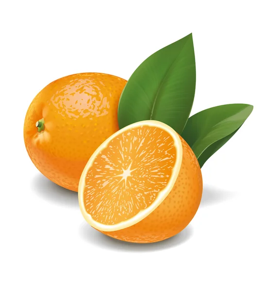 Oranges — Stock Photo, Image