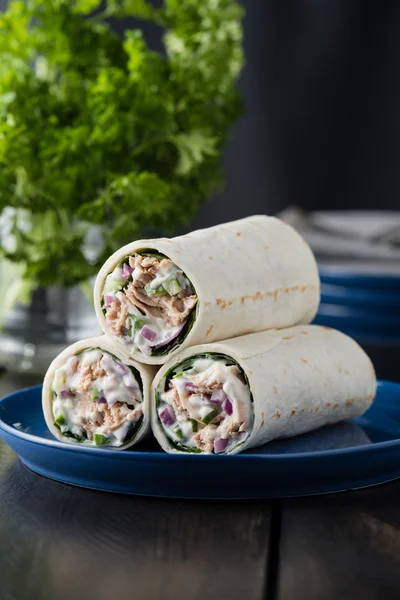 Tuna burritos with cucumber red onion and mayonnaise — Stock Photo, Image