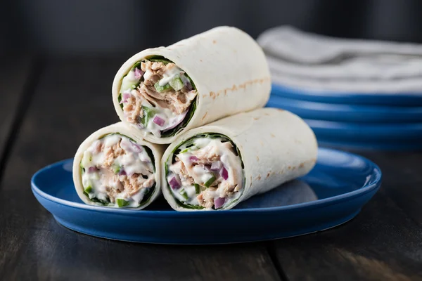 Uborka-vörös hagyma és majonézes tonhal burritos — Stock Fotó