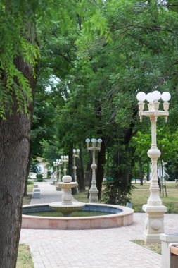 Avrupa Güney Parkı Yaz Güneşi Yeşil Ağaçlar