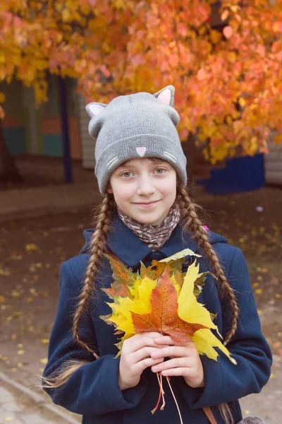 Küçük kız akçaağaç yapraklarını tut..
