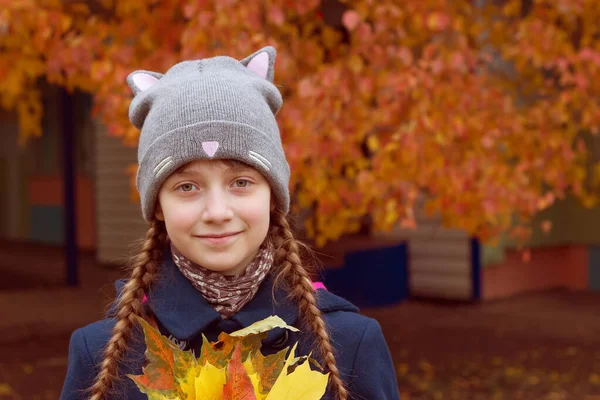 Küçük kız akçaağaç yapraklarını tut..