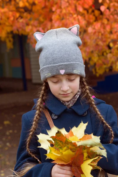 Küçük kız akçaağaç yapraklarına bakıyor..