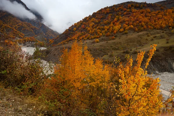 Kaunis syksy Kaukasuksella Azerbaidzanin vuoristossa — kuvapankkivalokuva