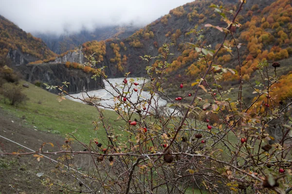 Kaunis syksy Kaukasuksella Azerbaidzanin vuoristossa — kuvapankkivalokuva