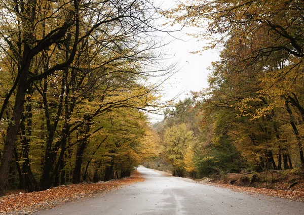 Hermoso otoño en las montañas del Cáucaso en Azerbaiyán Imágenes de stock libres de derechos