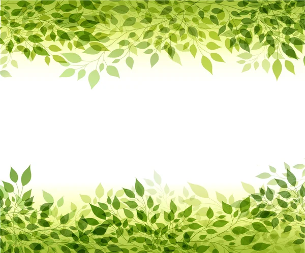 Ramas y hojas verdes — Vector de stock