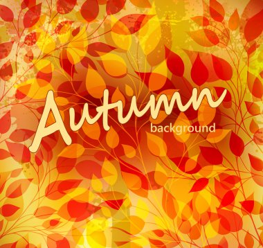 parlak sonbahar arka plan