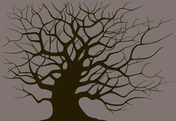 シルエットは古い木の分岐 — ストックベクタ