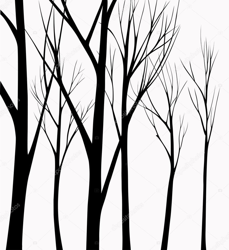 Group of silhouettes trees