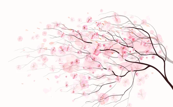 Rama Sakura, fondo floral de primavera — Vector de stock