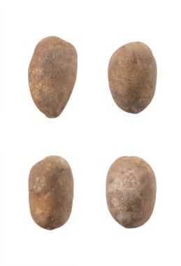 Beyaz arka plan üzerinde izole dört patates