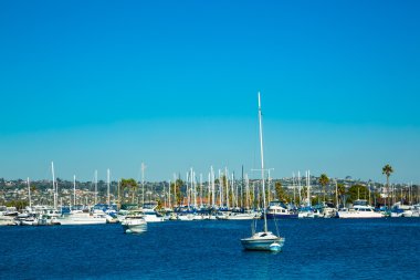 Yelkenli tekneler bir Harbor