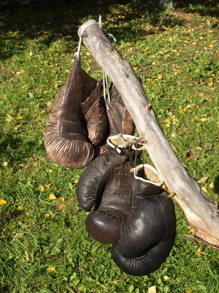 İki eski boks eldivenleri bir backgr kuru bir ağaca asılı çiftleri — Stok fotoğraf