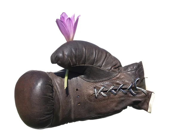 Boxing glove with flower isolated on white background. — Stock Photo, Image