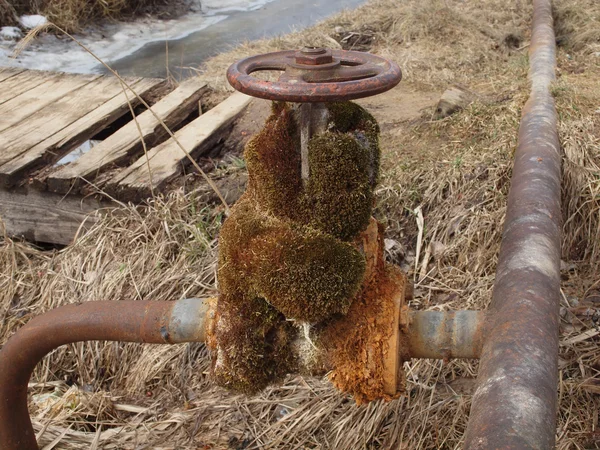 Alter Wasserhahn überwuchert mit Moos auf einer alten rostigen Sanitäranlage. — Stockfoto