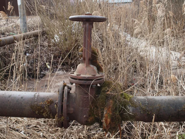 Staré baterie zarostlé mechem na staré rezavé potrubí. — Stock fotografie