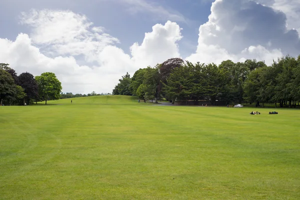 Kilkenny château jardin terrain — Photo