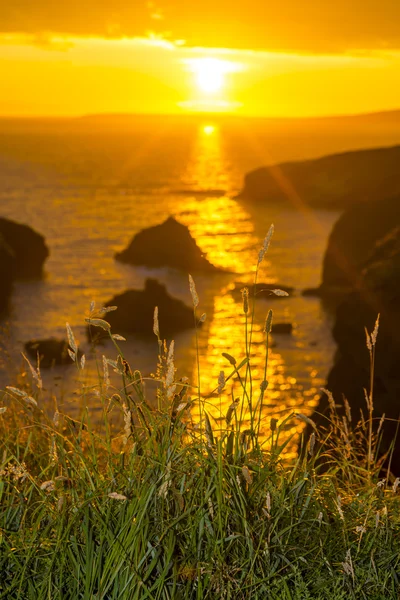 Piękny zachód słońca nad przybrzeżne skały — Zdjęcie stockowe