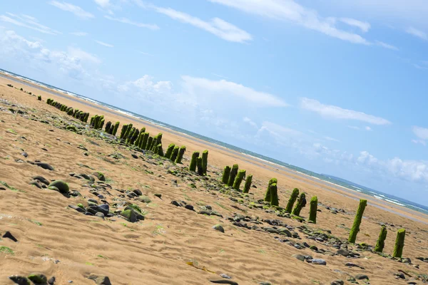 Beautiful wave breakers — Stock Photo, Image