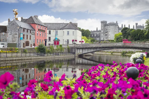 Цветочная подкладка на берегу реки вид kilkenny — стоковое фото