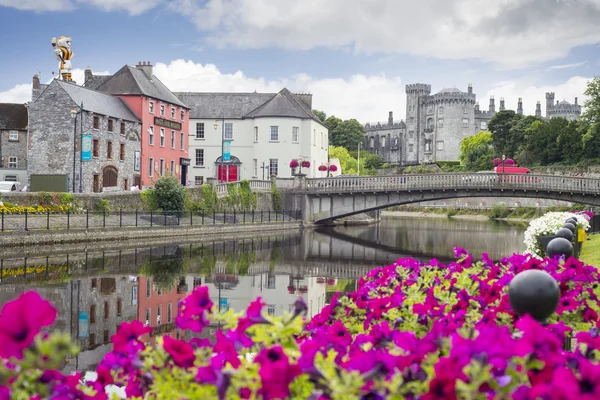 Virág bélelt folyóparti kilátás kilkenny — Stock Fotó