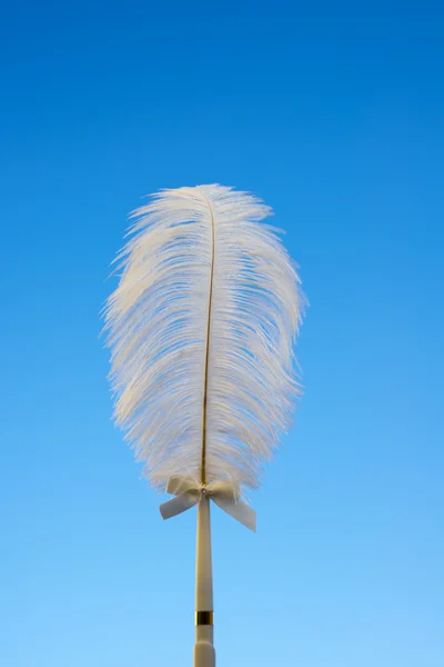 White feather op blauw — Stockfoto