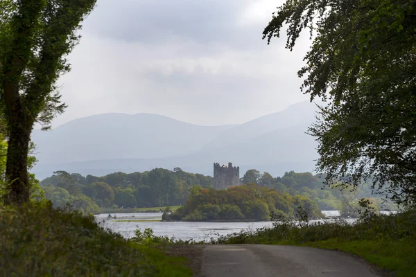 Ross castle lake at the end of a killarney forest path — Stock Photo, Image