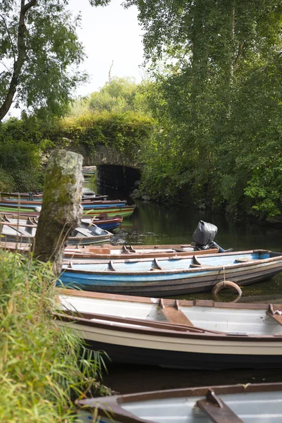 Bateaux à rames amarrés au château de ross — Photo