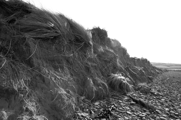 Vindpinade sanddyner efter den stora stormen — Stockfoto