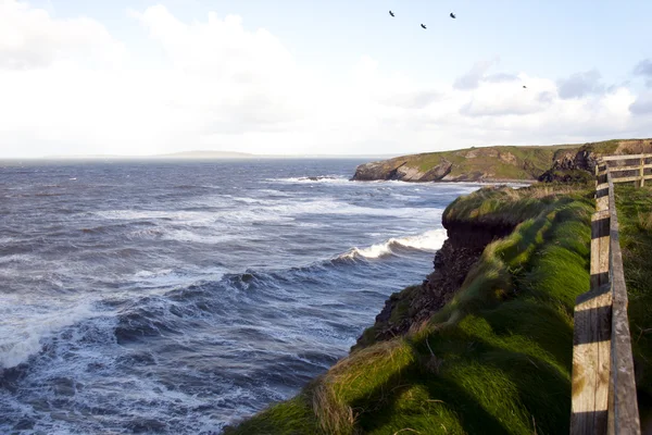 Cliff path och storm vågor — Stockfoto