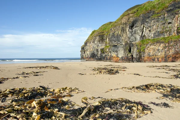 Klipporna i ballybunion på vilda Atlanten långt — Stockfoto