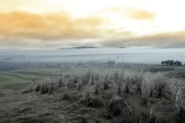 Brouillard roulant dans le cimetière — Photo