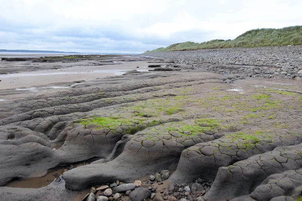 Green mud banks and big dunes at Beal beach — Stock Photo, Image