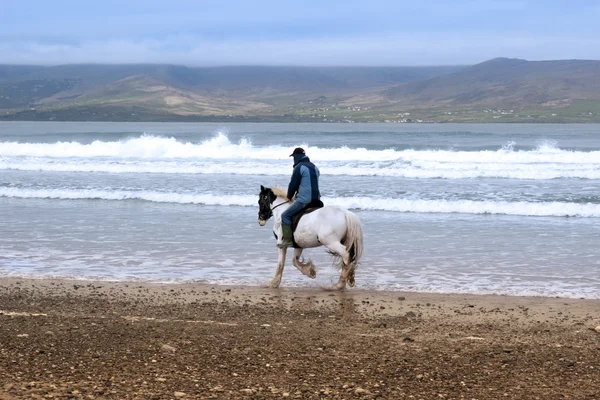 Häst och ryttare på maharees stranden — Stockfoto