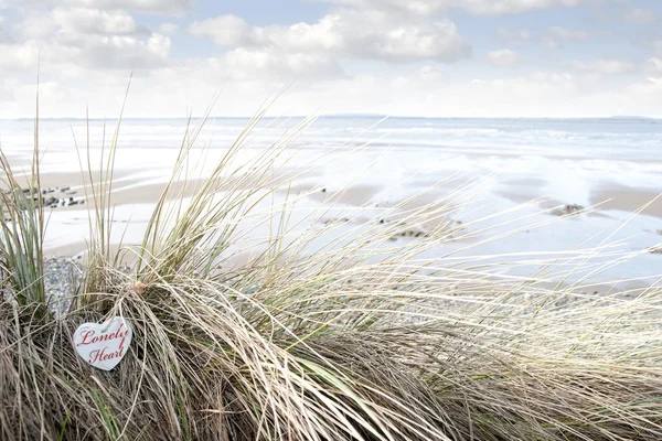 Lonely wooden heart on beach dunes — Stock Photo, Image