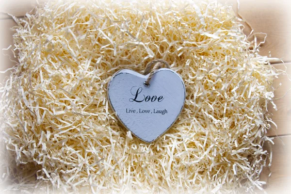 Lonesome blue wooden heart in a love nest — Stock Photo, Image