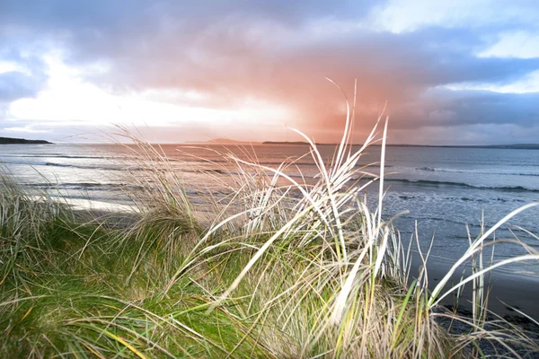 Prachtig uitzicht vanaf de zandduinen van Beal — Stockfoto