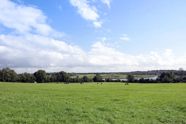 Saftiges grünes Ackerland in Longford — Stockfoto