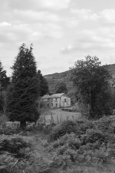 Oude boerderij in Kerry — Stockfoto