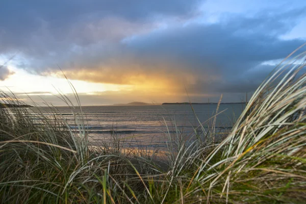 Sortir des dunes de sable de Beal — Photo