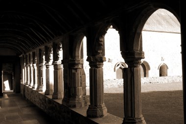Holycross Abbey sepya kemerler